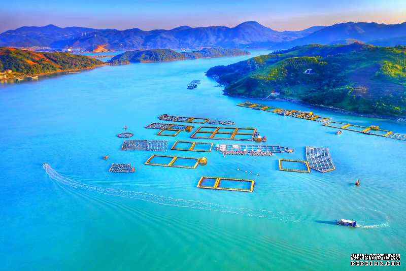 �������£�������� ����ʫ