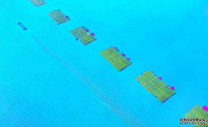 �������£�������� ����ʫ