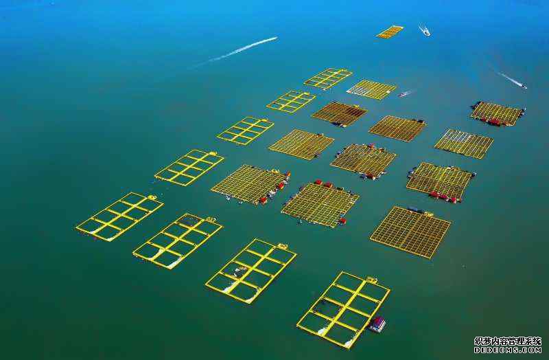 �������£�������� ����ʫ