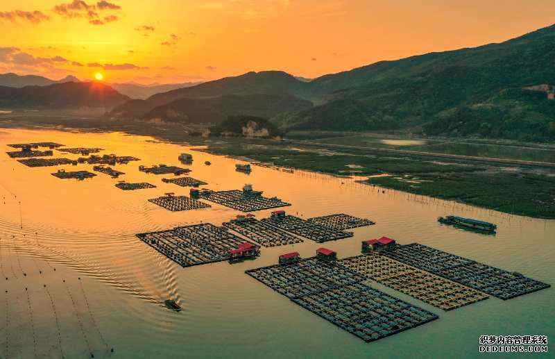 �������£�������� ����ʫ