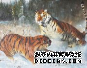 �ɻ��г��������һ����Ԫ���ɸ�����Դ�����֮�