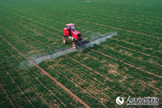 河南:守住“三农”基本盘 打赢疫情阻击战
河南省小麦已陆续进入返青-拔节期,正是春季管理的关键时期。在“豫北粮仓”河南省安阳市滑县,181万亩冬小麦历经一个冬日的锤炼,愈发坚挺粗壮,生机勃勃……【详细】