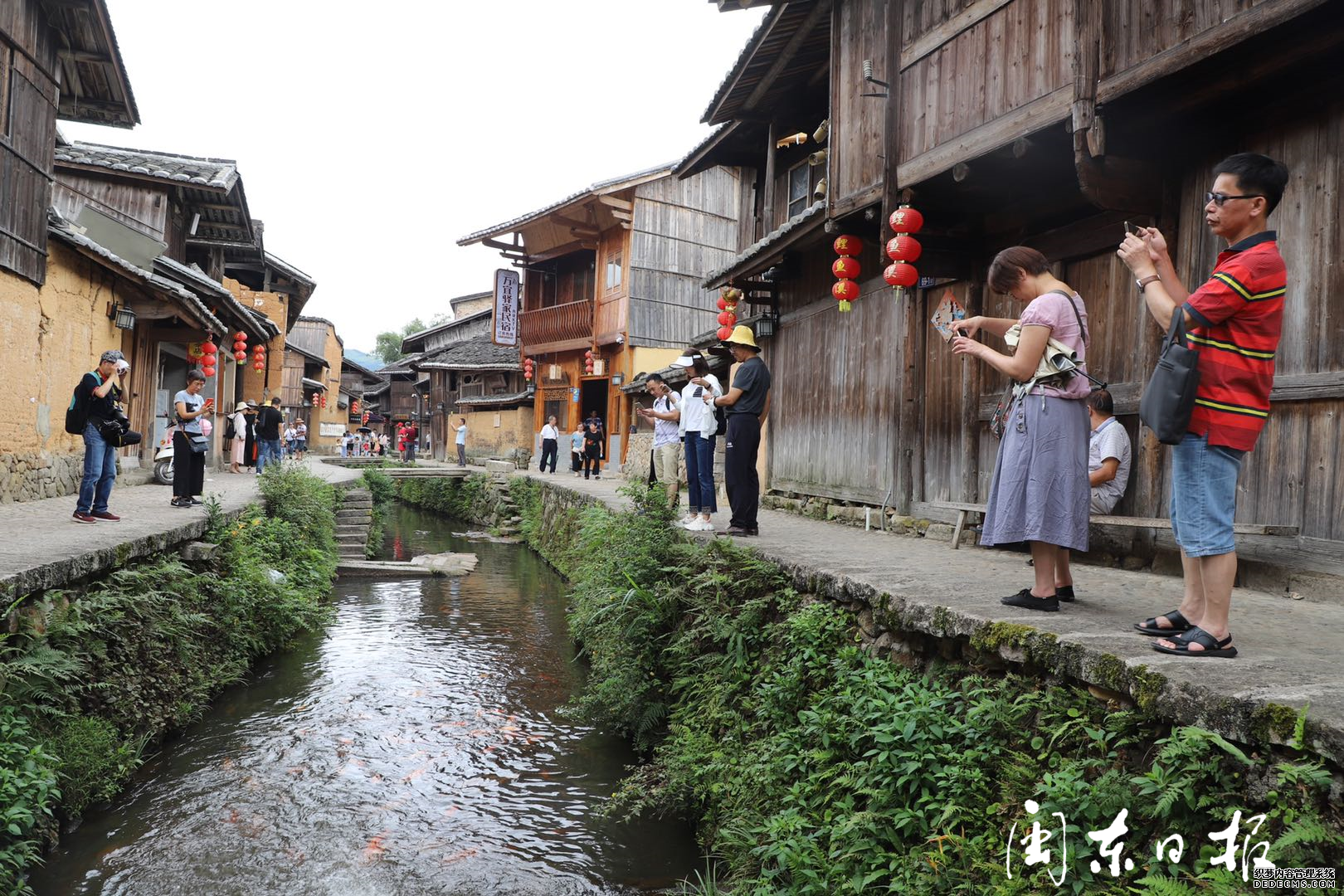 ���续 ������Ϫ�ɻ���ʢ��