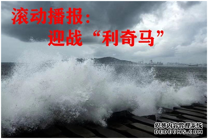 �ൺ������������α��棨2019��ȣ�