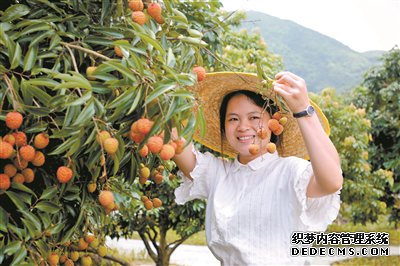 从化南平荔枝节6月23日开启
