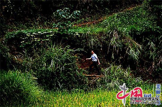 中信银行扶贫故事:“嫁”到木良村的男人