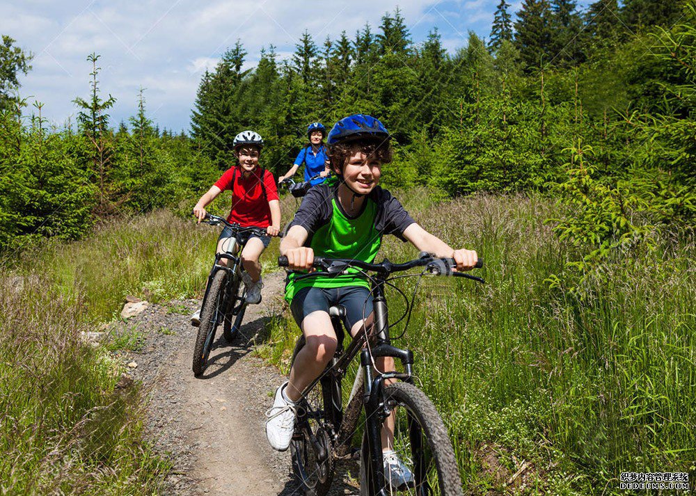 ��ͯ���г�