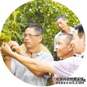 걣ǧ깱Ʒ 黡ζ