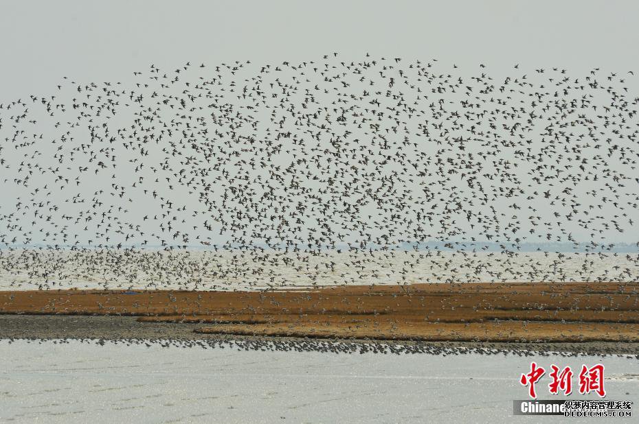 ����Ȫ���г������߻���Ƹ��Ϣ