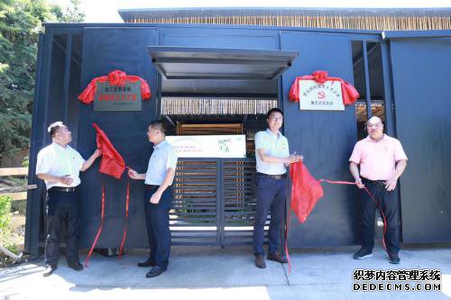 �����׸�������ý���˲�֮�����彭��Ϫ����