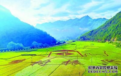 �������Ͷ���������������ƶ�¸���С��