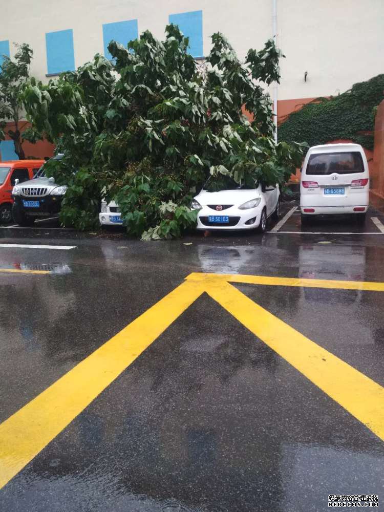 ൺһ·԰Сε 