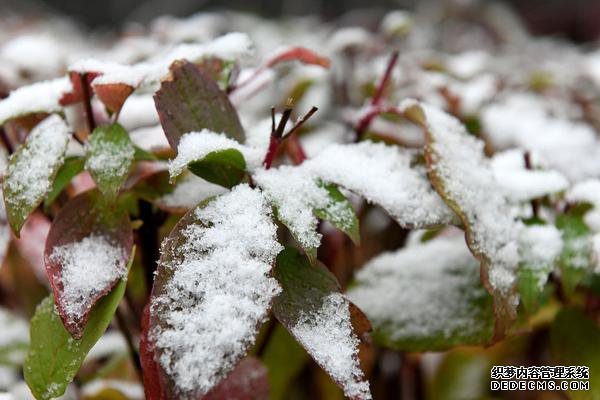 �����о���̨��˫����̸��