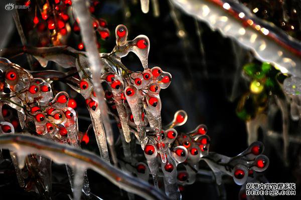 黑龙江省福建商会项目考察代表团赴牡丹江调研