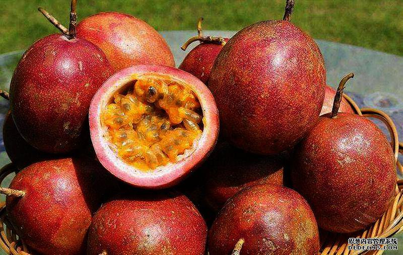 福建百香果的品牌发展之路