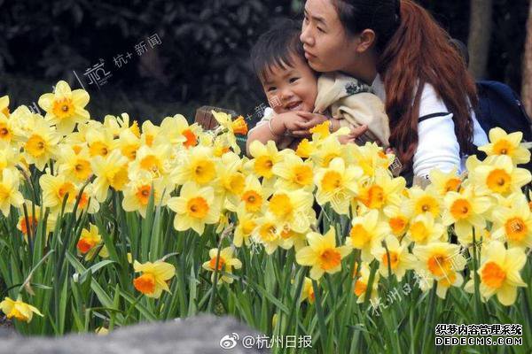 ����΢��������Ѱ������Բ