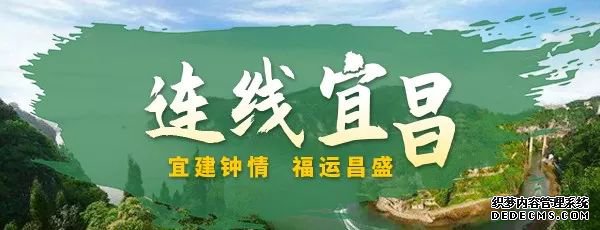 �˲��������ˣ�����֧Ԯ�ӵ��