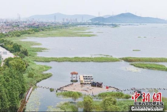 7月25日航拍苏州太湖湖滨国家湿地公园。 泱波 摄 7月25日航拍苏州太湖湖滨国家湿地公园。 泱波 摄