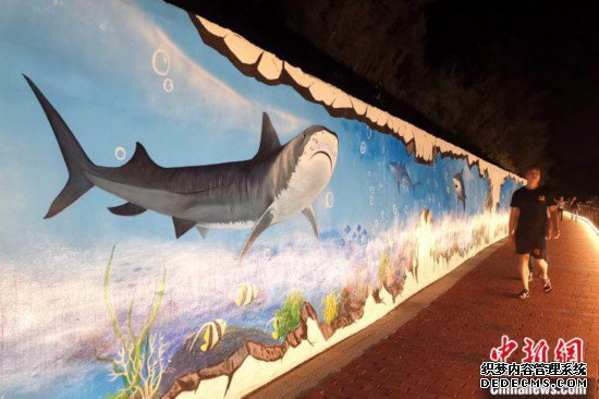 ������ɽ�������Ļ�������