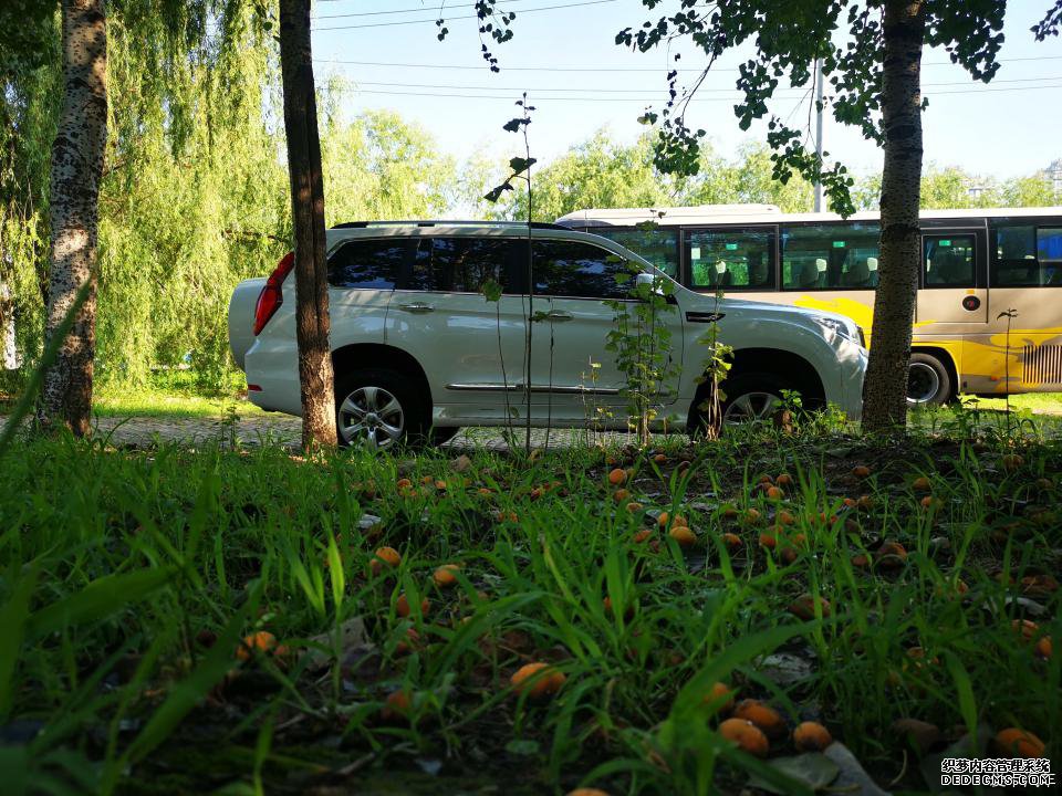 ��������һ�� �����ó�ʮ�� �������� ���Ӵ�ż���״̬