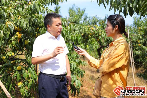 ��������������ֱ����ũ��Ʒ���ϡ����̿쳵��