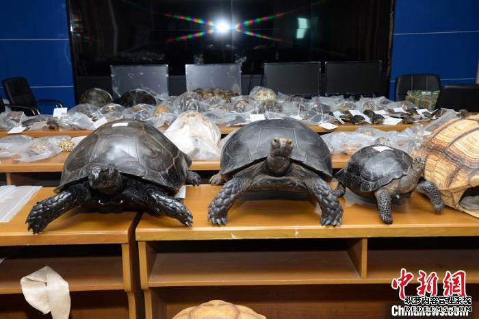 ���������ƻ��ش�Ƿ�����Ұ�����Ｐ����Ʒ��