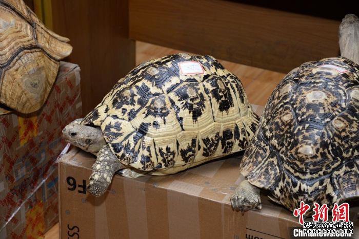 ���������ƻ��ش�Ƿ�����Ұ�����Ｐ����Ʒ��