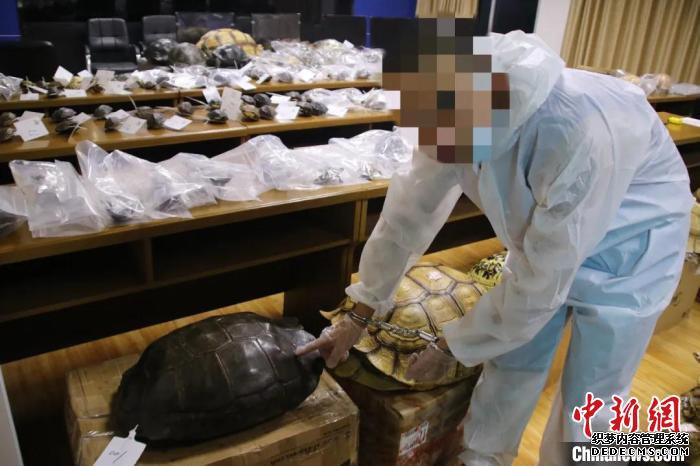 ���������ƻ��ش�Ƿ�����Ұ�����Ｐ����Ʒ��