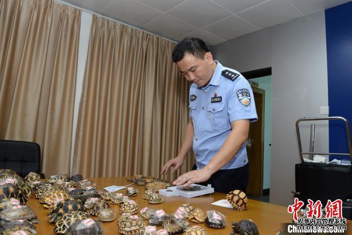 ���������ƻ��ش�Ƿ�����Ұ�����Ｐ����Ʒ��