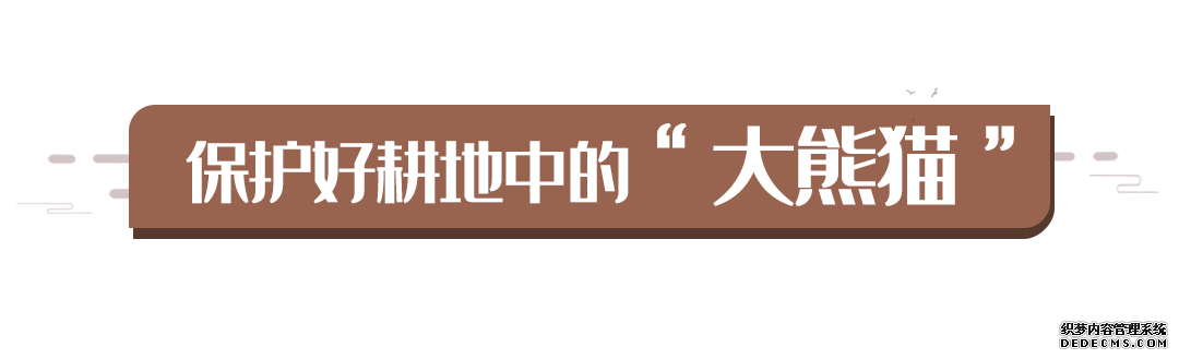 ʳΪ���ף�ϰ��ƽ����֮����ǿ��