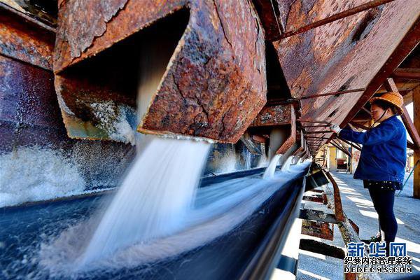 2019�����취��ϵͳ����Ա���Ա���ͳ�ƣ�8.17��