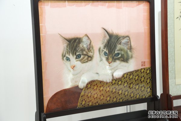 ˿������2020ר��¬��Ӣ���ô����������� �Ÿ��ܴ�������