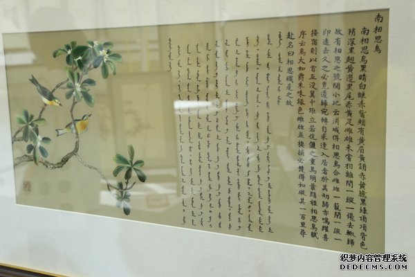 ˿������2020ר��¬��Ӣ���ô����������� �Ÿ��ܴ�������