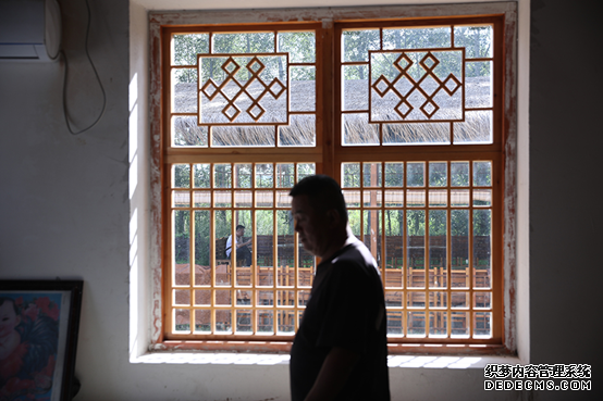 【幸福花开新边疆】白桦丛生的地方