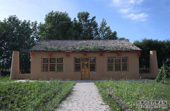 【幸福花开新边疆】白桦丛生的地方