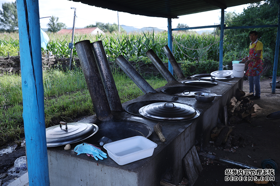 【幸福花开新边疆】白桦丛生的地方