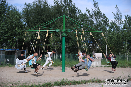 【幸福花开新边疆】白桦丛生的地方
