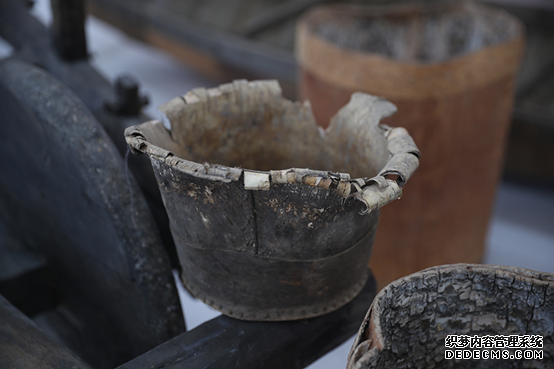 【幸福花开新边疆】白桦丛生的地方