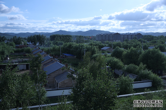 【幸福花开新边疆】白桦丛生的地方